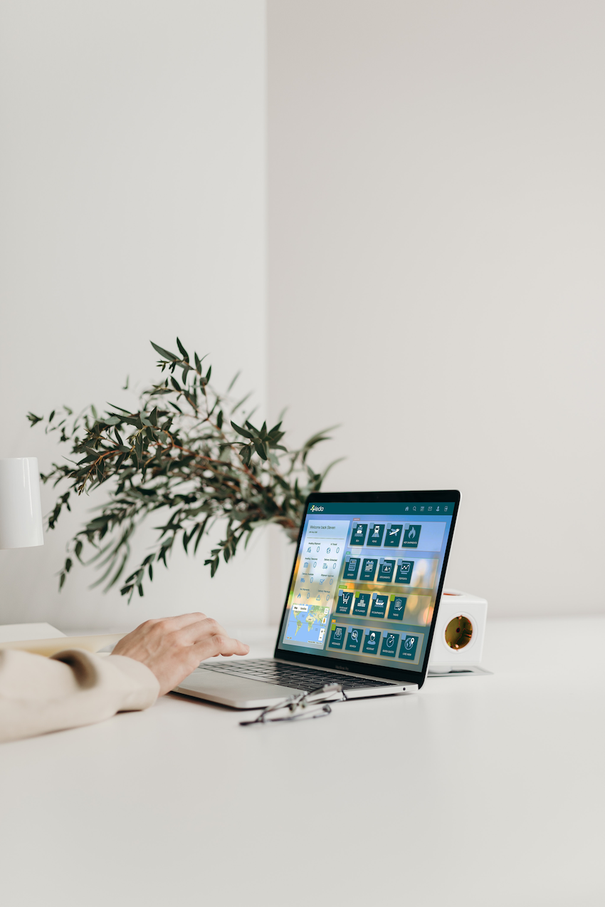 People working on laptops